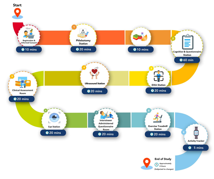 4. Participant journey